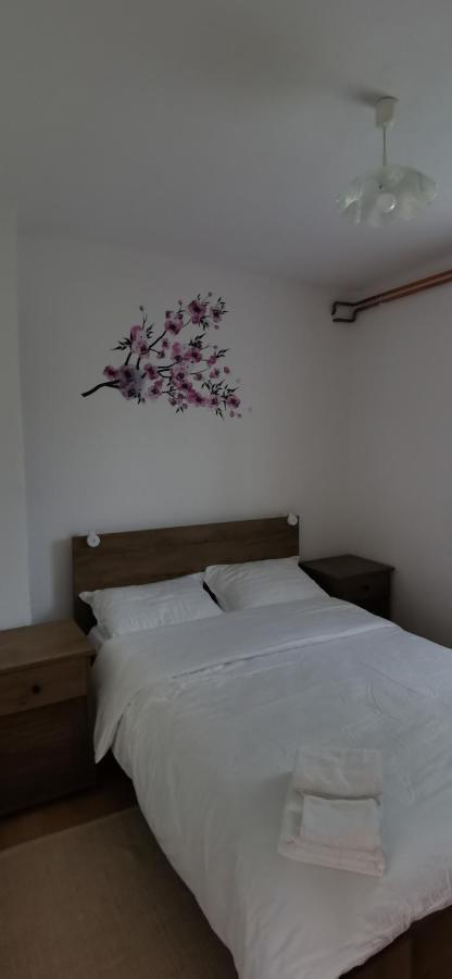 Apartman Deda Rakovica Exterior photo